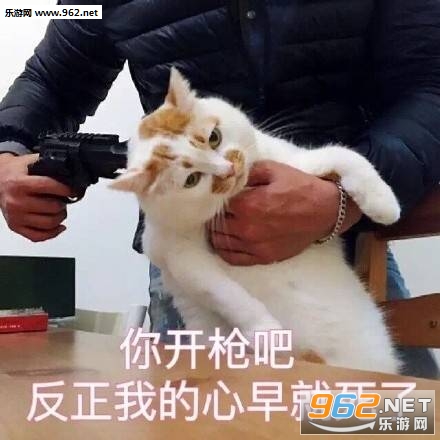 ΢������è¥¥�����������ˮӡ���ͼ2