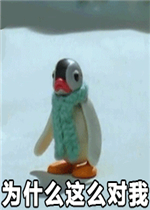 Ϊʲô��ô��������������