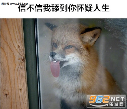 ������������Լ����èͷӥ�������ͼ1