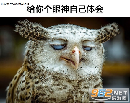������������Լ����èͷӥ�������ͼ0