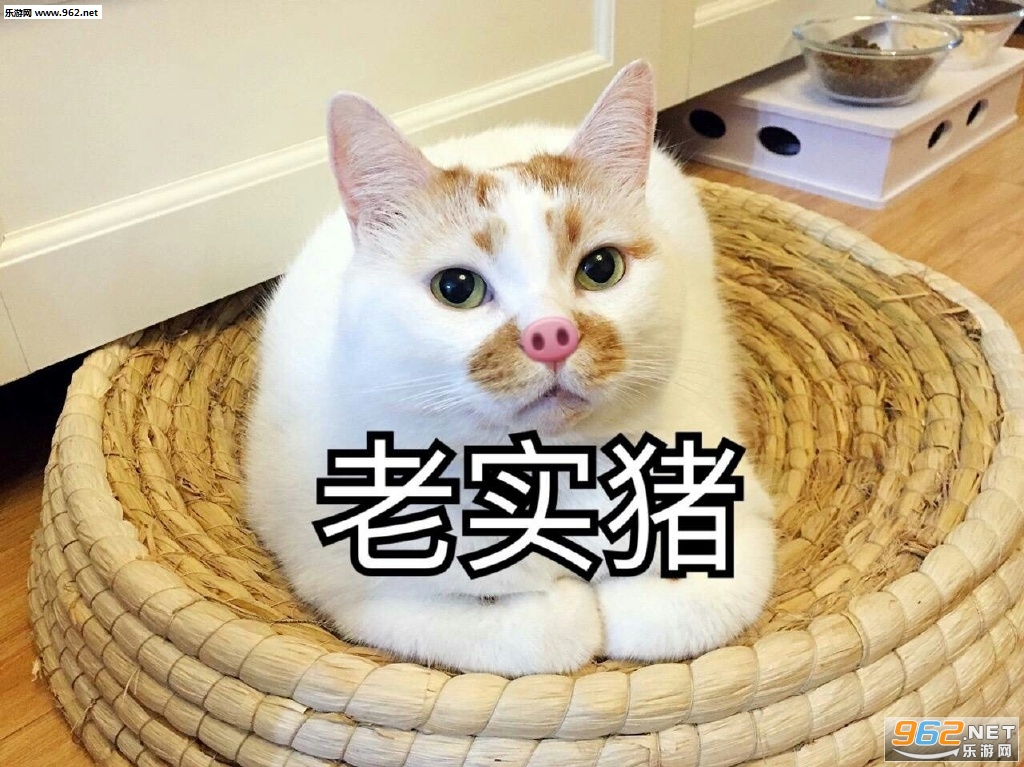 ��˵ʲôɾ�����ѱ������ˮӡ��ͼ0