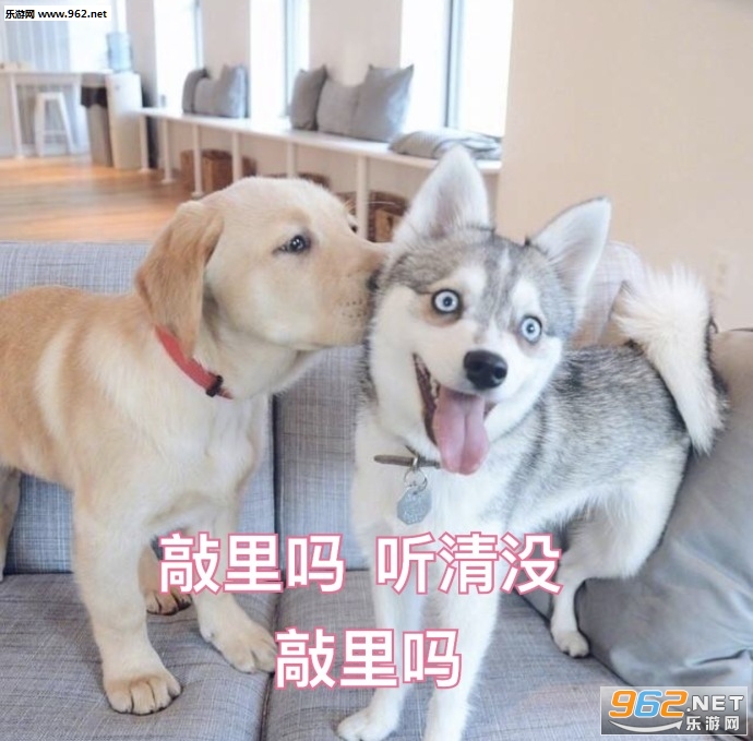 ��˵ʲôɾ�����ѱ������ˮӡ��ͼ1