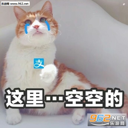 ˫ʮһ�쵽������С�ɰ���Ҫһ���㻨Ǯ�������ͼ0