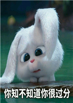 �ڴ��Ĵ�������ӱ��������
