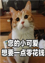 ���С�ɰ���Ҫһ���㻨Ǯ�����