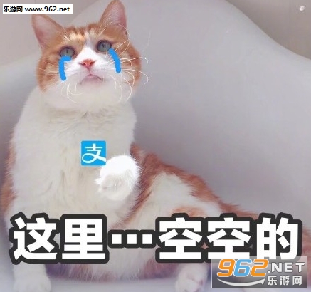 ���С�ɰ���Ҫһ���㻨Ǯ�����(˫ʮһ�����ϵ��)��ͼ0