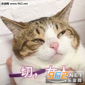 ��Ů�������˱����ͼƬ��ͼ0