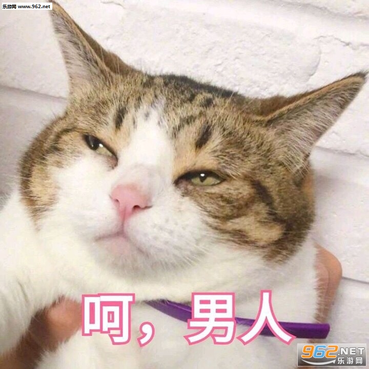 ��Ů�������˱����ͼƬ��ͼ1