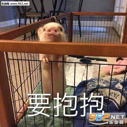 ���ﰡ��������仨�������ͼ2