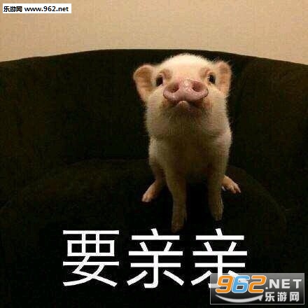 ���ﰡ��������仨�������ͼ5