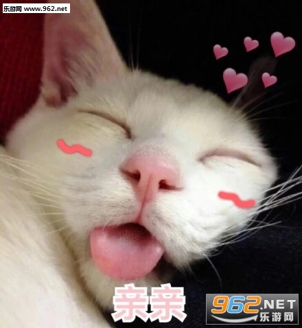 �������è��ɰ��������ͼ3