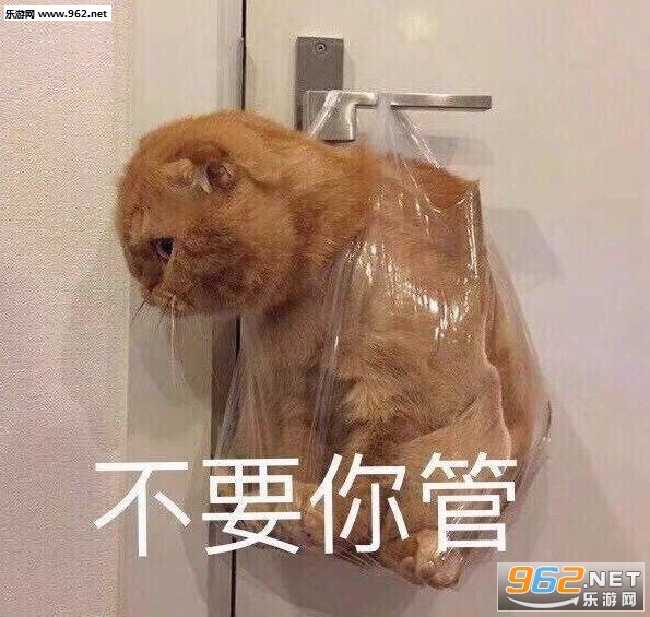 ���������������ҡ������ͼƬ��ͼ0