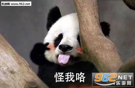 ����ί����è�ɰ��������ͼ1