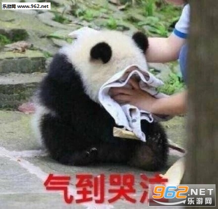 ����ί����è�ɰ��������ͼ2