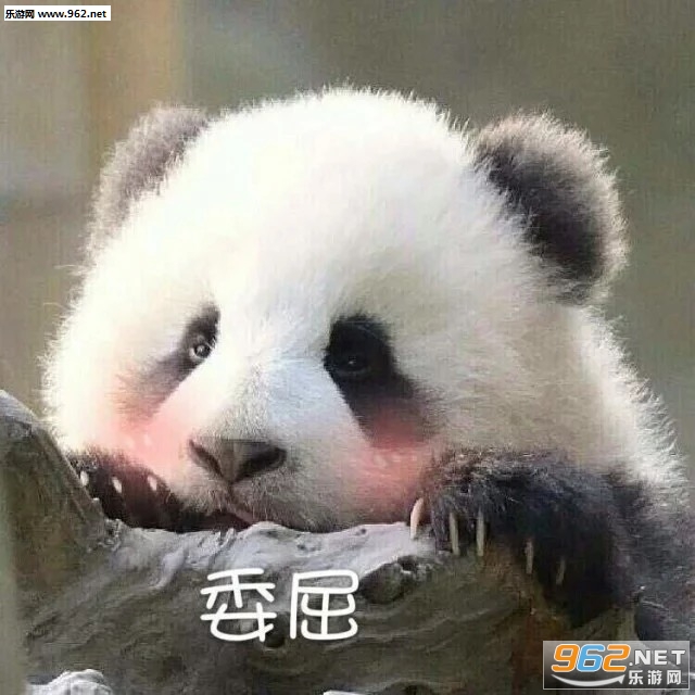 ����������è�����ͼƬ��ͼ7
