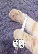 èצ��в�����