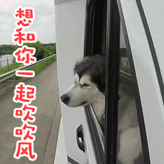 �ŵ���ժ����Ĥ�����˱��������ͼƬ��ͼ0