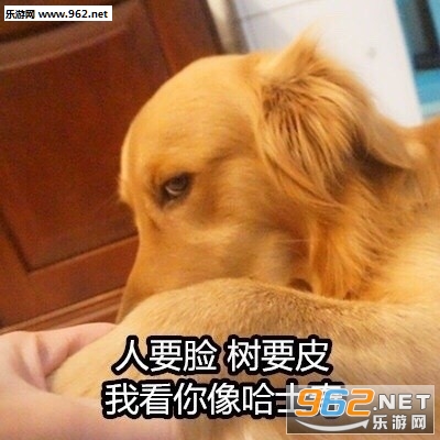 �ŵ���ժ����Ĥ�����˱��������ͼƬ��ͼ2