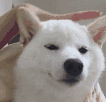 �ŵ���ժ����Ĥ�����˱��������ͼƬ��ͼ3