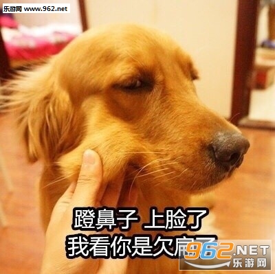 �ŵ���ժ����Ĥ�����˱��������ͼƬ��ͼ4