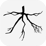 ľ(branch)���İ�