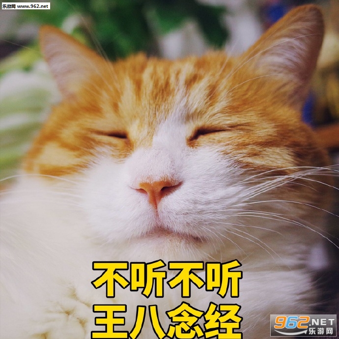 Ů���������ɥè�����������ˮӡ��ͼ0