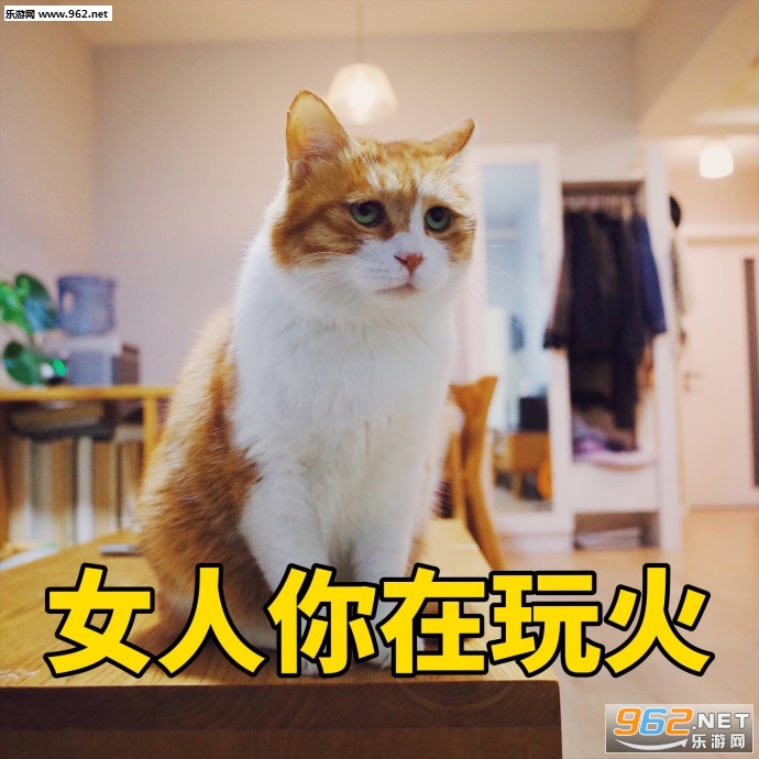 Ů���������ɥè�����������ˮӡ��ͼ1