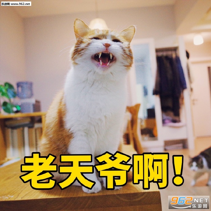 Ů���������ɥè�����������ˮӡ��ͼ2
