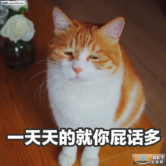 Ů���������ɥè�����������ˮӡ��ͼ4