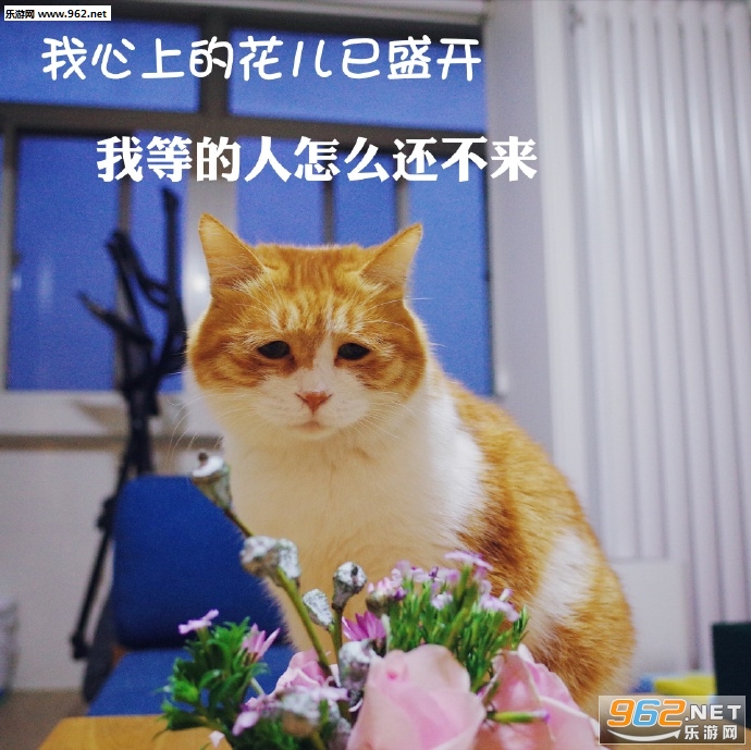 Ů���������ɥè�����������ˮӡ��ͼ5