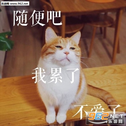 Ů���������ɥè�����������ˮӡ��ͼ14