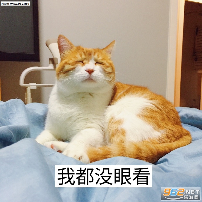 Ů���������ɥè�����������ˮӡ��ͼ7
