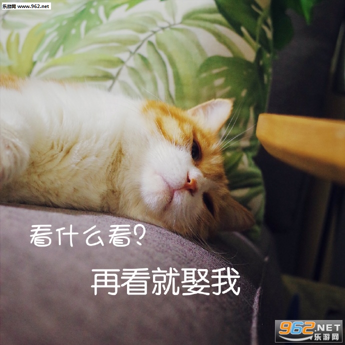 Ů���������ɥè�����������ˮӡ��ͼ8