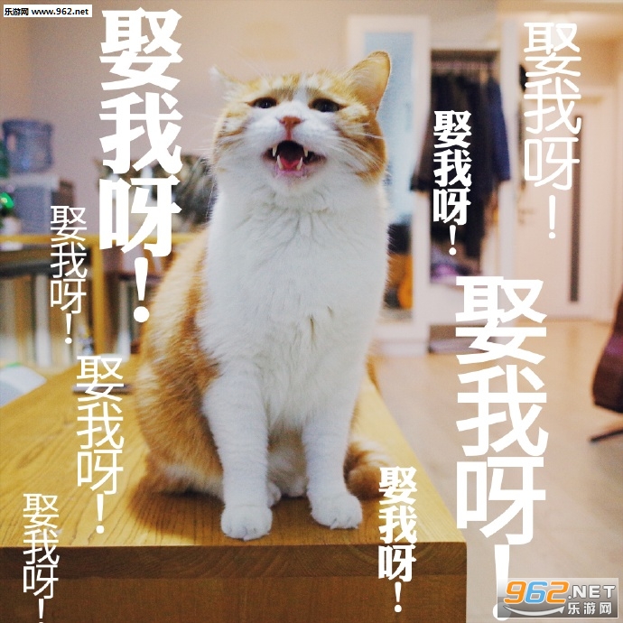 Ů���������ɥè�����������ˮӡ��ͼ9