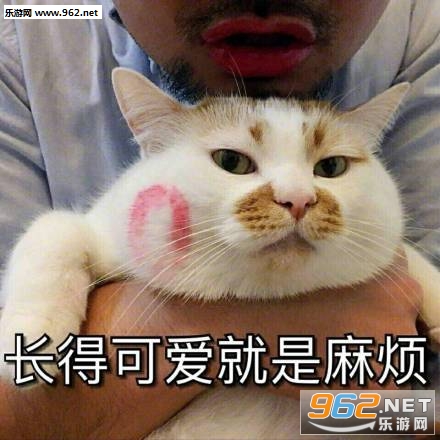 �����������ȳ���������ͼƬ��ͼ2
