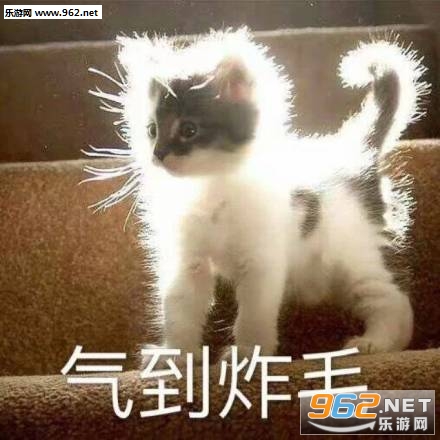 �����������ȳ���������ͼƬ��ͼ7