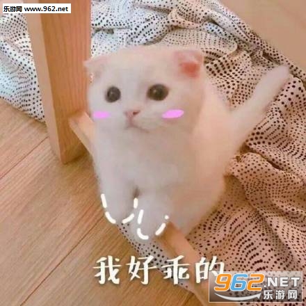 �����������ȳ���������ͼƬ��ͼ8