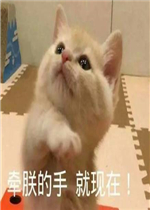 �����������ȳ���������ͼƬ