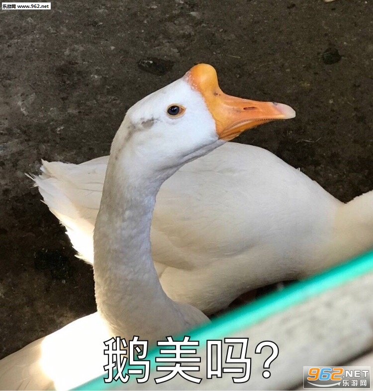 Ҫ����Ҫ����Ҫ�ٸ߸߱����ͼƬ��ͼ0