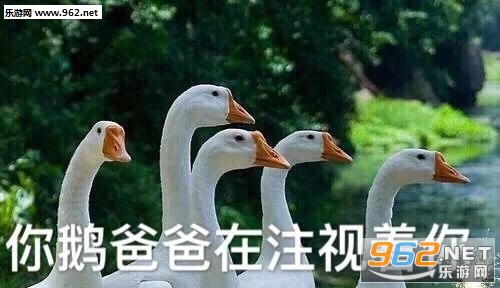 Ҫ����Ҫ����Ҫ�ٸ߸߱����ͼƬ��ͼ2