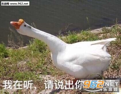 Ҫ����Ҫ����Ҫ�ٸ߸߱����ͼƬ��ͼ3