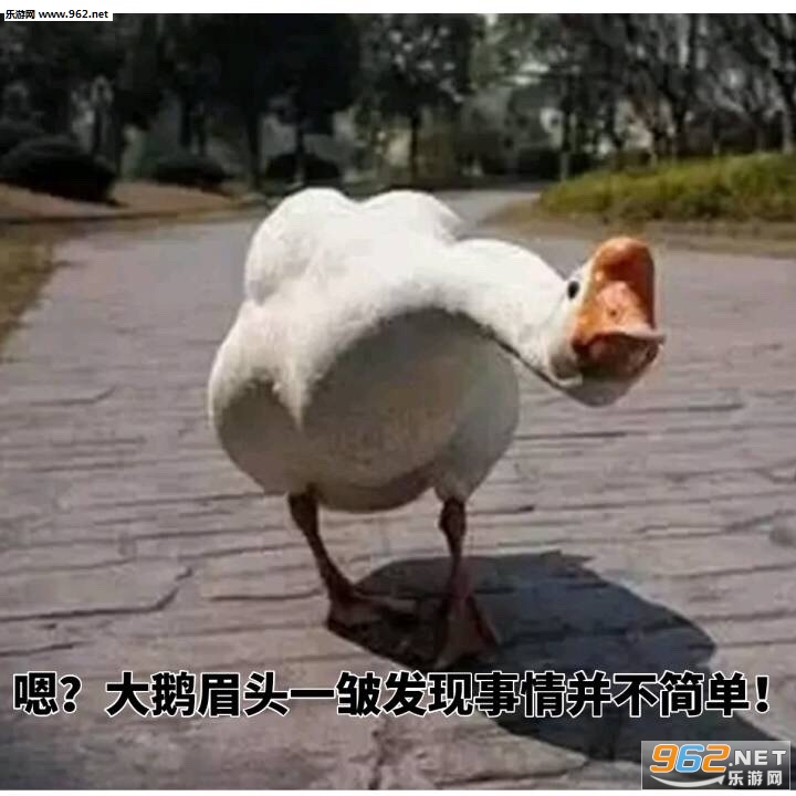 Ҫ����Ҫ����Ҫ�ٸ߸߱����ͼƬ��ͼ4