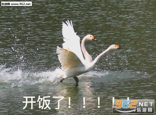 Ҫ����Ҫ����Ҫ�ٸ߸߱����ͼƬ��ͼ5