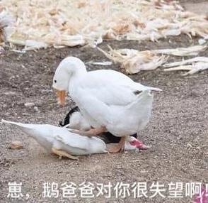 Ҫ����Ҫ����Ҫ�ٸ߸߱����ͼƬ��ͼ10