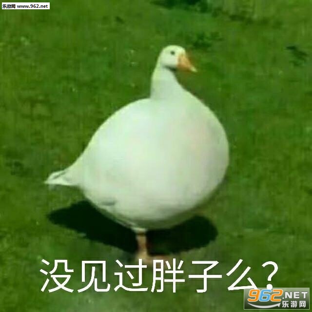 Ҫ����Ҫ����Ҫ�ٸ߸߱����ͼƬ��ͼ11