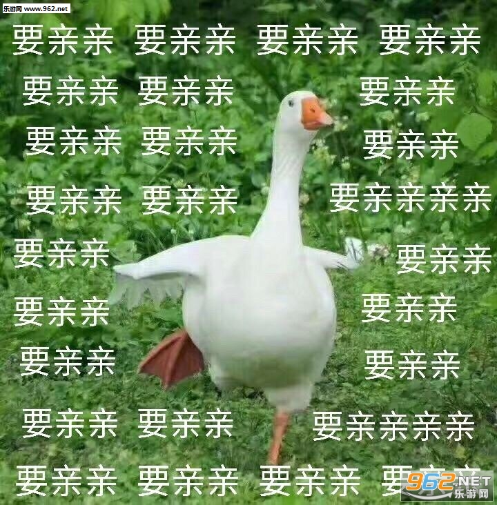 Ҫ����Ҫ����Ҫ�ٸ߸߱����ͼƬ��ͼ14