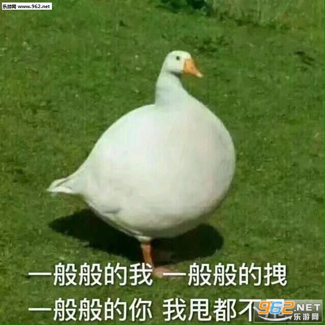 Ҫ����Ҫ����Ҫ�ٸ߸߱����ͼƬ��ͼ15