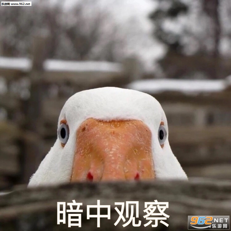 Ҫ����Ҫ����Ҫ�ٸ߸߱����ͼƬ��ͼ20