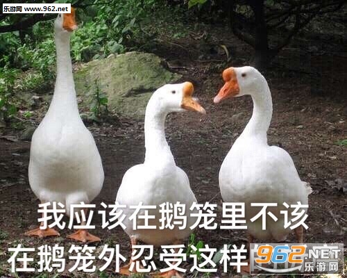 Ҫ����Ҫ����Ҫ�ٸ߸߱����ͼƬ��ͼ7