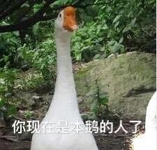 Ҫ����Ҫ����Ҫ�ٸ߸߱����ͼƬ��ͼ8